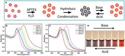 pH-Driven Reversible Assembly and Disassembly of Colloidal Gold Nanoparticles